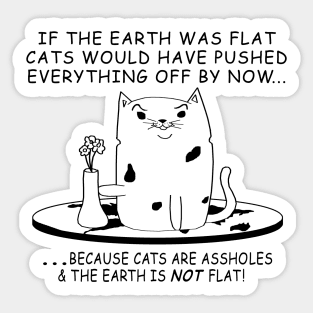 The Earth is NOT FLAT! Sticker